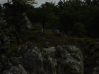 28.07-05.08.2012 Wanderfahrt auf der Donau (121).JPG